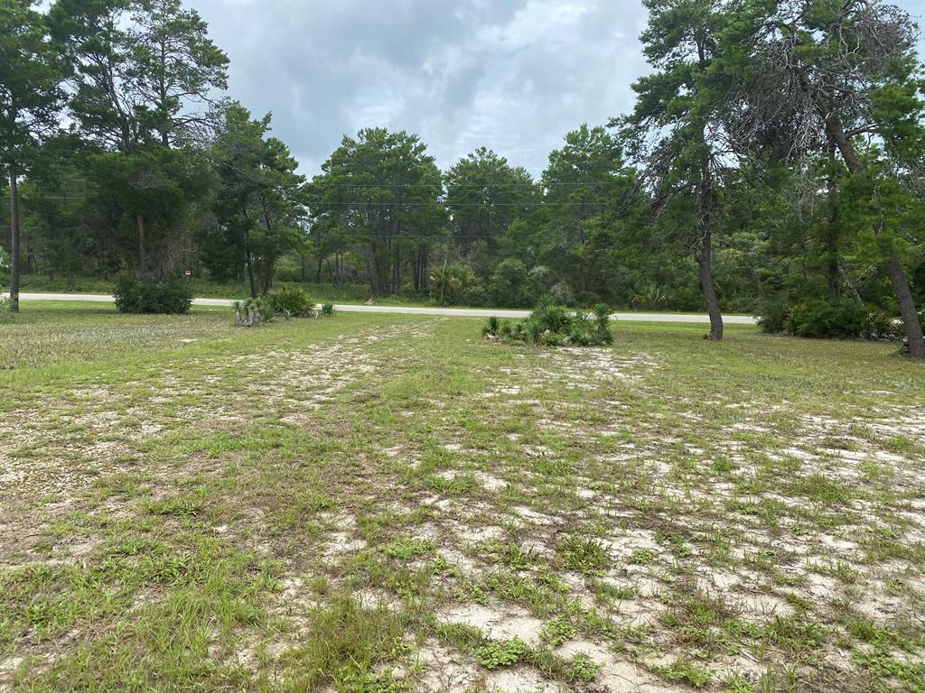 1850 Lighthouse Road Carrabelle, FL 32322 - Photo 61 of 65 Gallery Image 61