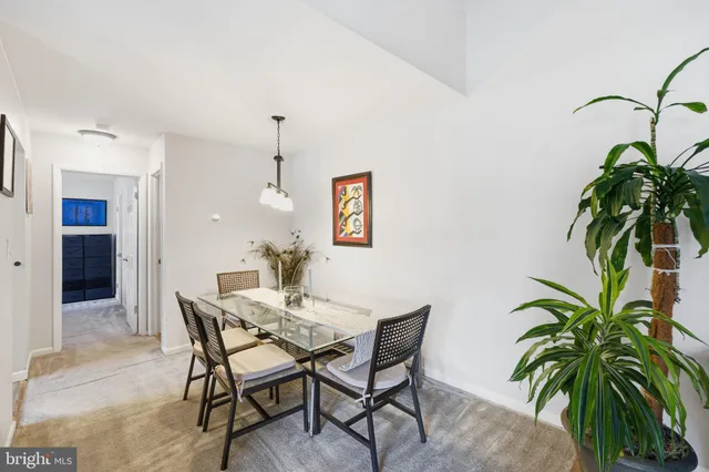 a view of a dining room with furniture and a potted plant