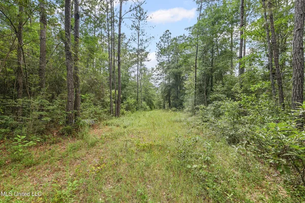 $374,000 | 0 Yankee Town Road, Saucier, MS 39574