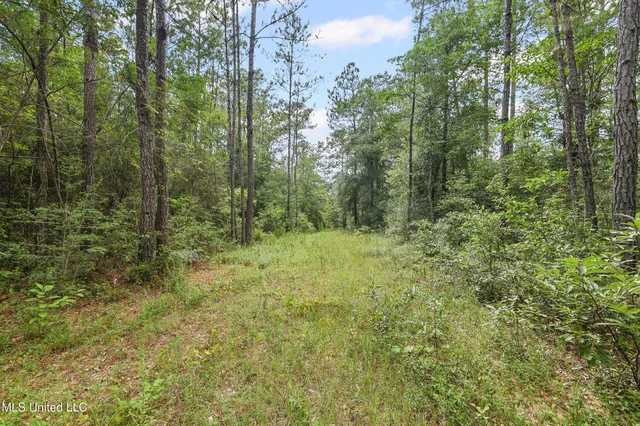 $394,900 | 0 Yankee Town Road, Saucier, MS 39574