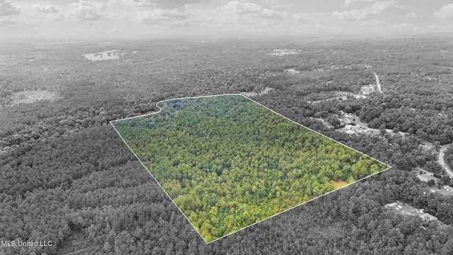 $394,900 | 0 Yankee Town Road, Saucier, MS 39574