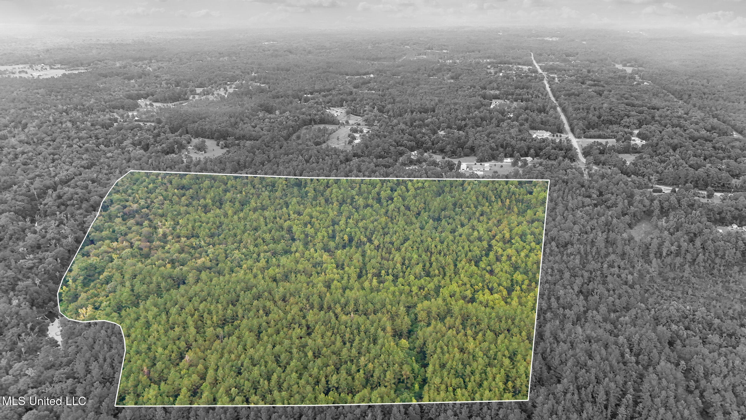 0 Yankee Town Road Saucier, MS 39574 - Photo 17 of 28 8_dji_20250723160045_0046_d_addon_pl