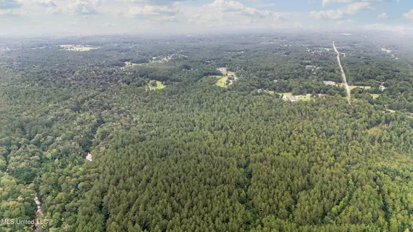 $374,000 | 0 Yankee Town Road, Saucier, MS 39574