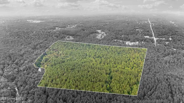 $374,000 | 0 Yankee Town Road, Saucier, MS 39574