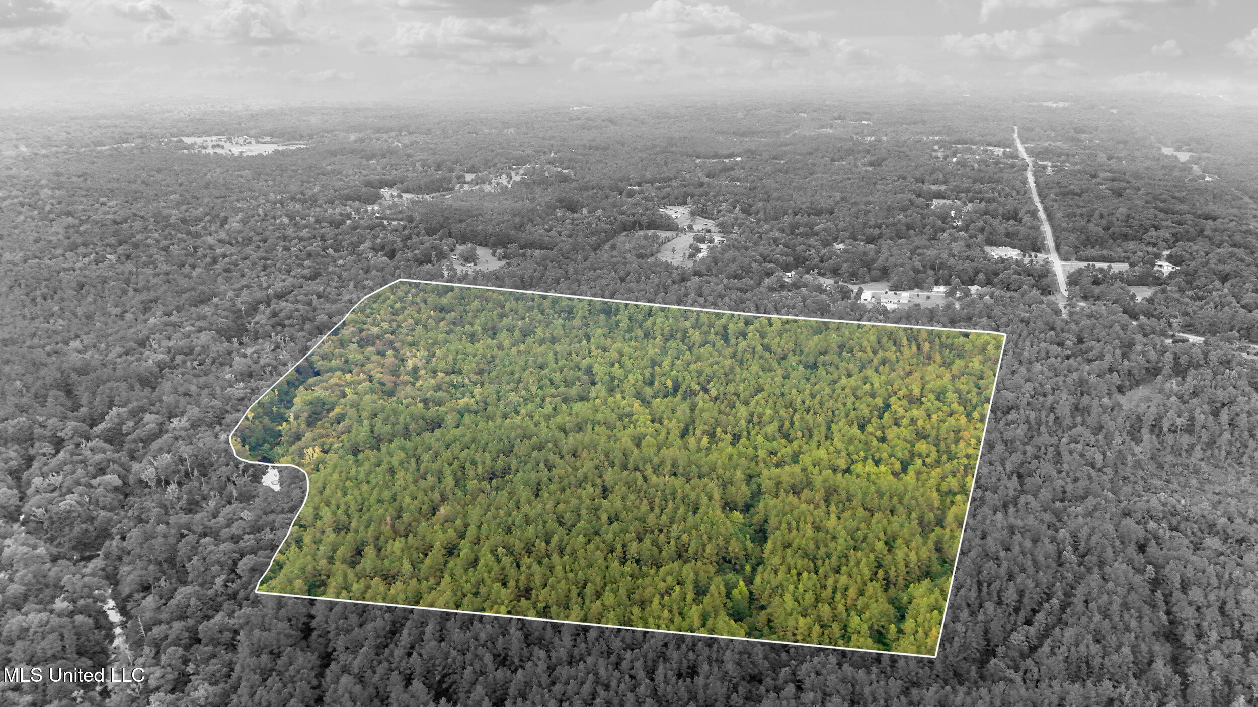 0 Yankee Town Road Saucier, MS 39574 - Photo 19 of 28 10_dji_20250723160133_0047_d_addon_pl