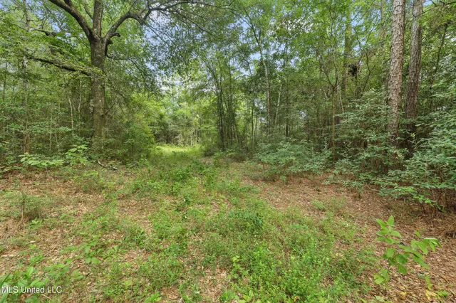 $394,900 | 0 Yankee Town Road, Saucier, MS 39574