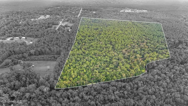 $374,000 | 0 Yankee Town Road, Saucier, MS 39574