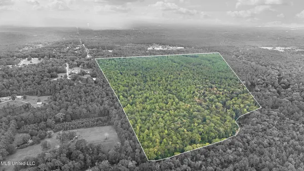 $374,000 | 0 Yankee Town Road, Saucier, MS 39574