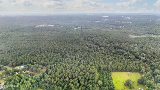 $394,900 | 0 Yankee Town Road, Saucier, MS 39574