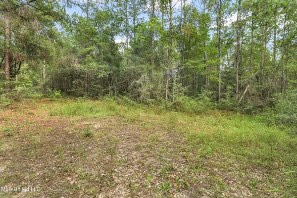 $374,000 | 0 Yankee Town Road, Saucier, MS 39574