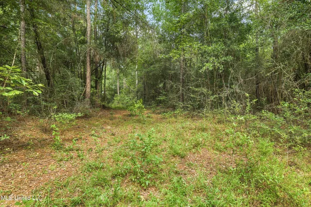 $394,900 | 0 Yankee Town Road, Saucier, MS 39574
