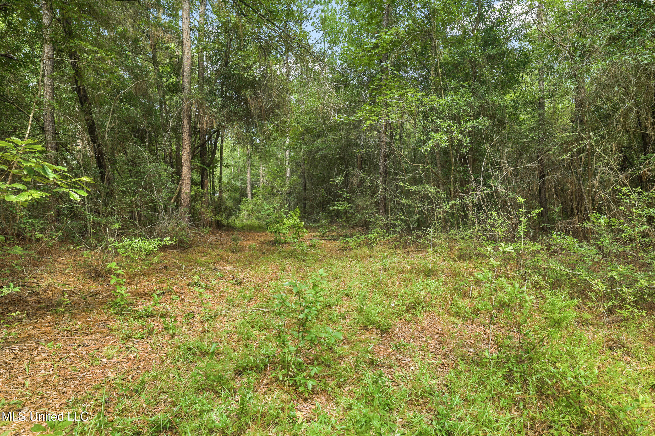 0 Yankee Town Road Saucier, MS 39574 - Photo 4 of 28 25_r6__7203