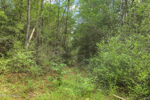 $394,900 | 0 Yankee Town Road, Saucier, MS 39574