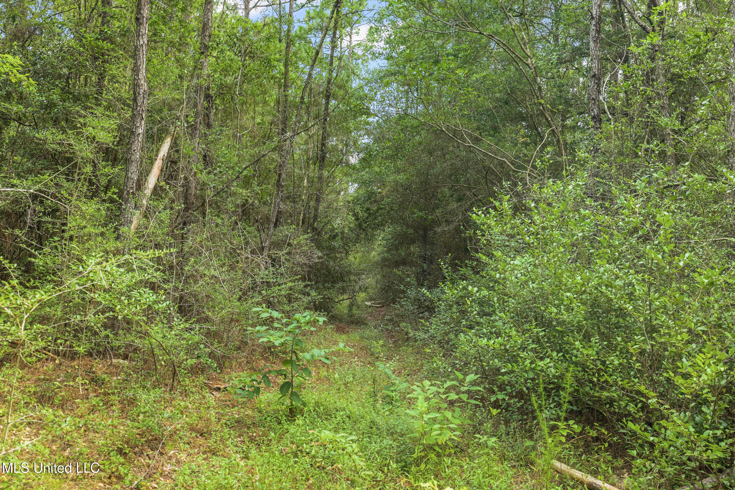 0 Yankee Town Road Saucier, MS 39574 - Photo 5 of 28 26_r6__7208