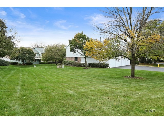1549 Sandhurst Court, Unit B Wheaton, IL 60189 - Photo 11 of 11 a view of a park with large trees