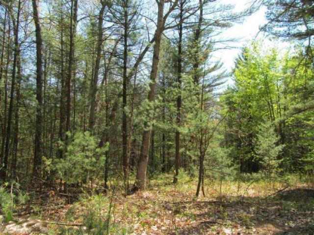 0 Dzuibanek Road Thompsonville, MI 49683 - Photo 1 of 1 20170418194205216445000000-o