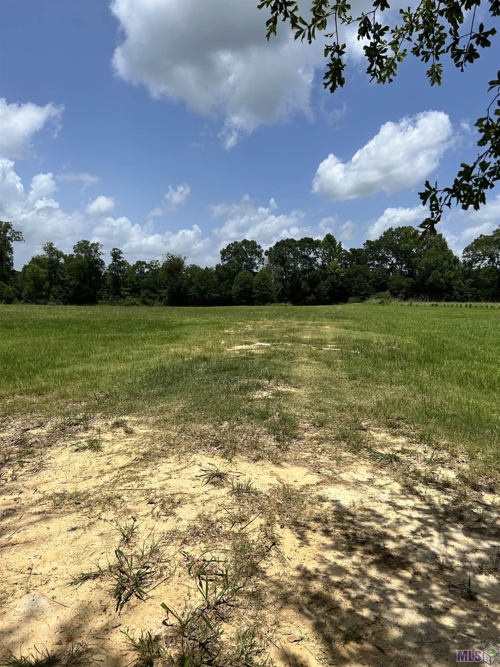 E-1-e-1-b North Plank Road Zachary, LA 70791 - Photo 5 of 6