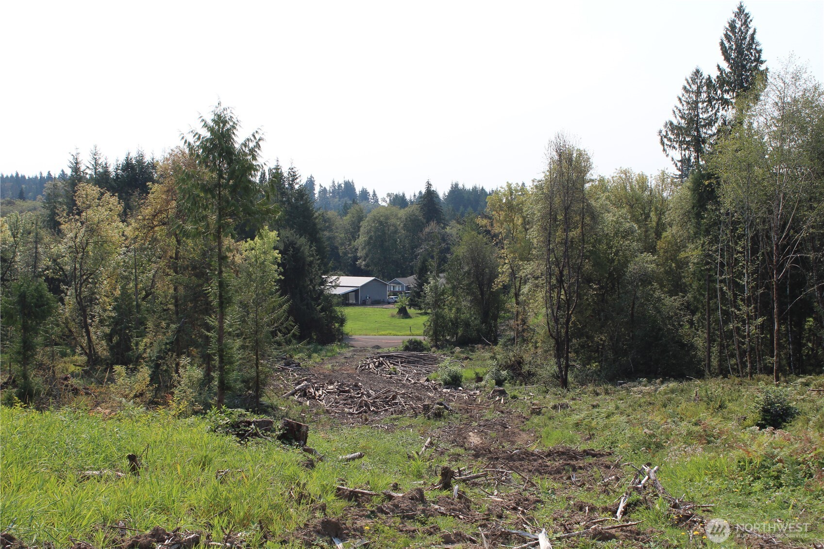 0 Cedar Creek Road Oakville, WA 98568 - Photo 31 of 33 Gallery Image 31