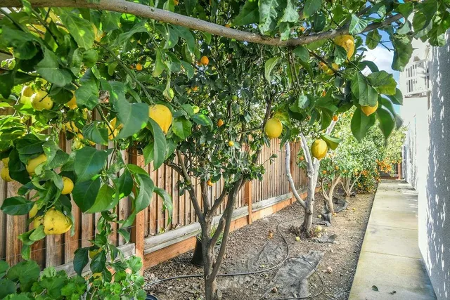 $4,600 | 1045 Martinez Drive, Brentwood, CA 94513