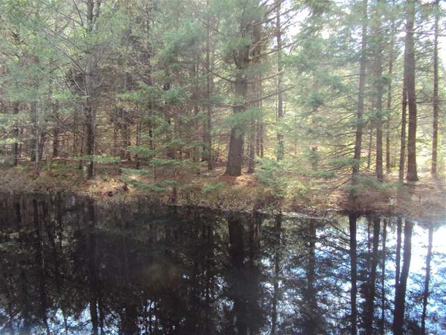 On Falcon Ridge, Unit LOT 2 Minocqua, WI 54548 - Photo 10 of 10 Gallery Image 10