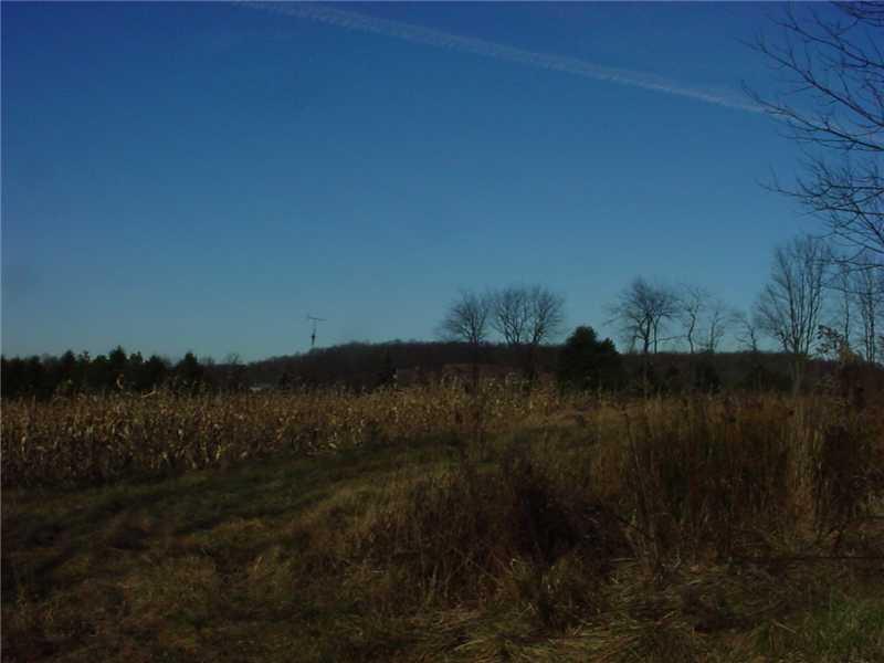 521 East Brady Road Kittanning, PA 16201 - Photo 3 of 5 Land.