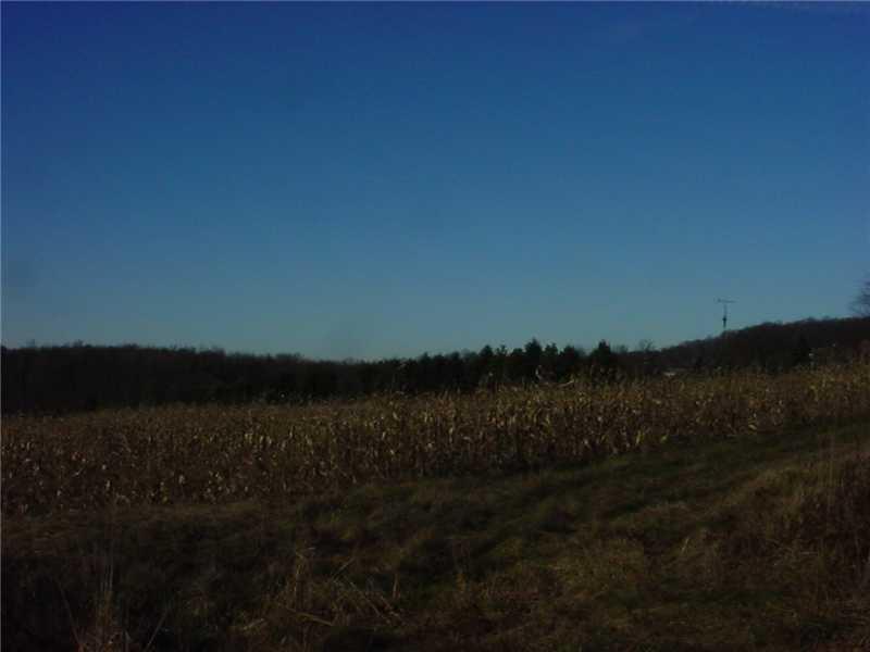 521 East Brady Road Kittanning, PA 16201 - Photo 4 of 5 Land/Lot.