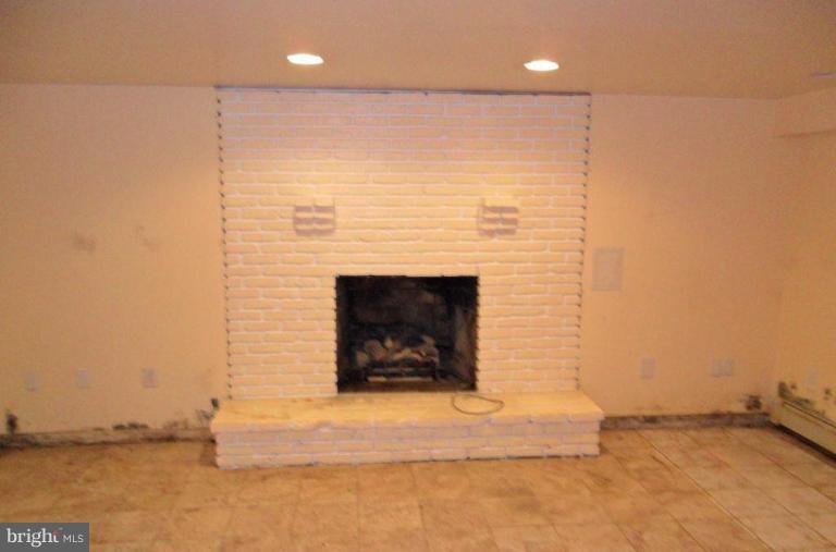 11610 Emack Road Beltsville, MD 20705 - Photo 24 of 25 Fireplace