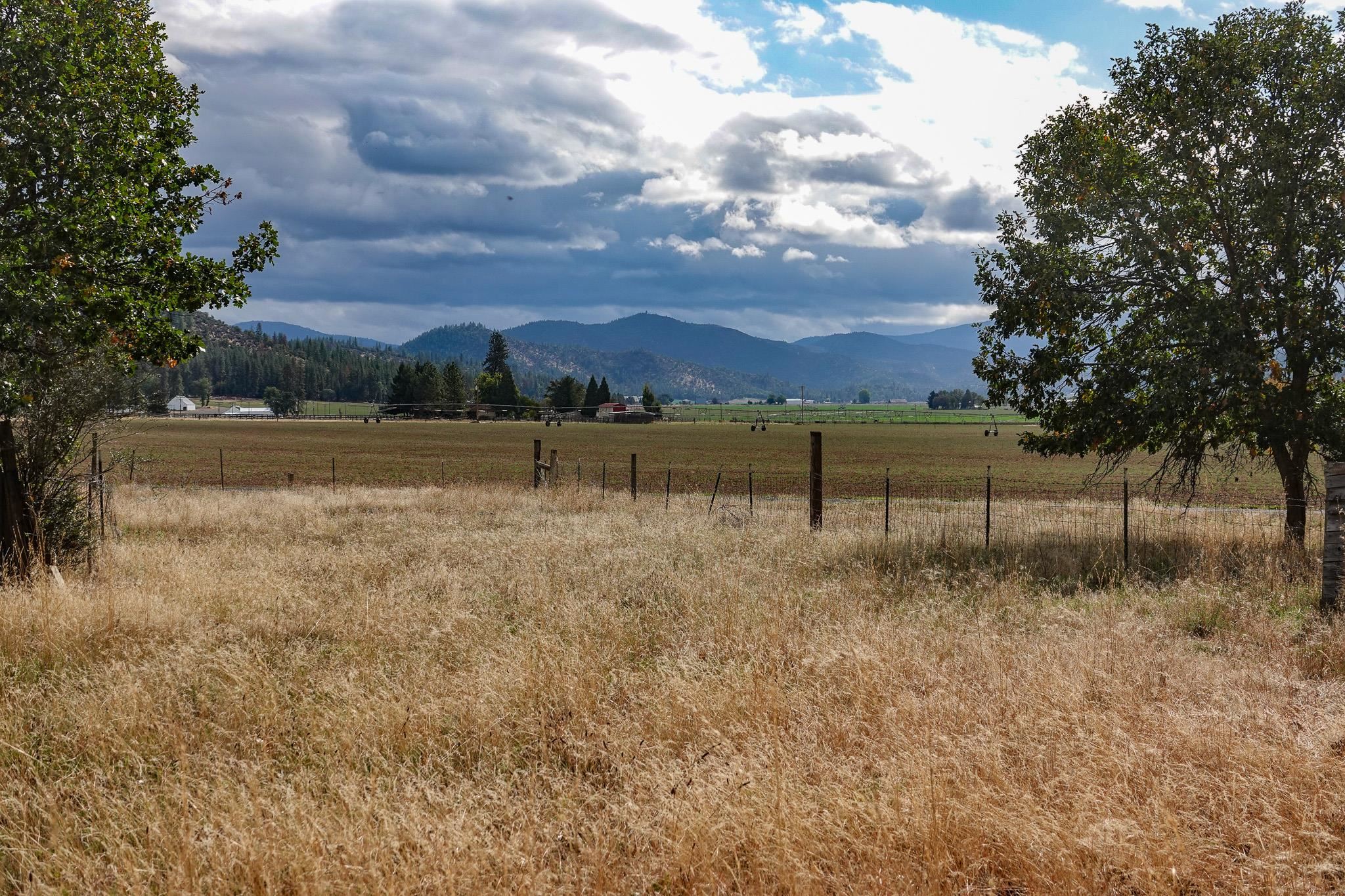 5402 Scott River Road Fort Jones, CA 96032 - Photo 5 of 28 Gallery Image 5