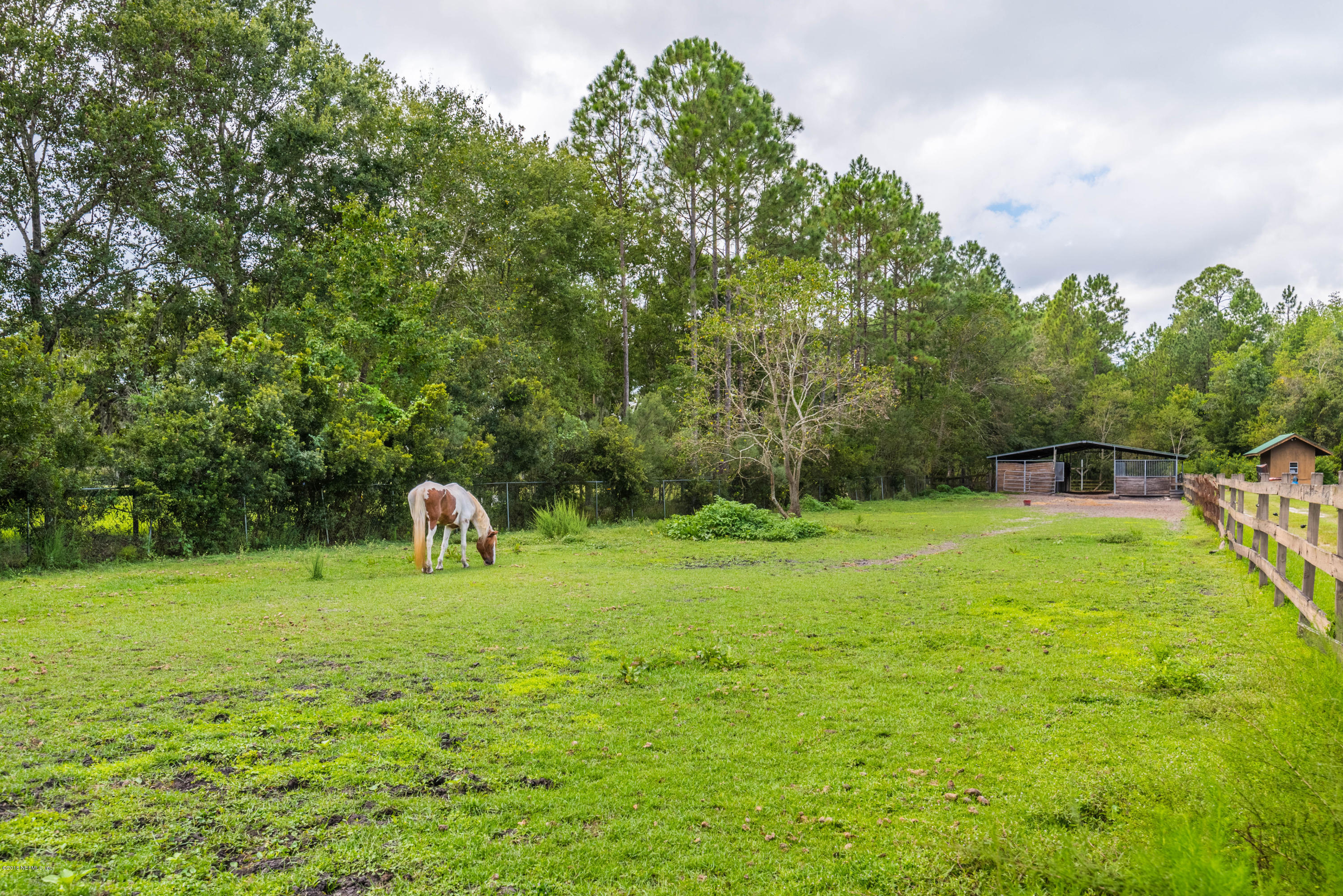 1750 Nolan Road Middleburg, FL 32068 - Photo 7 of 36 1750 Nolan Rd-7