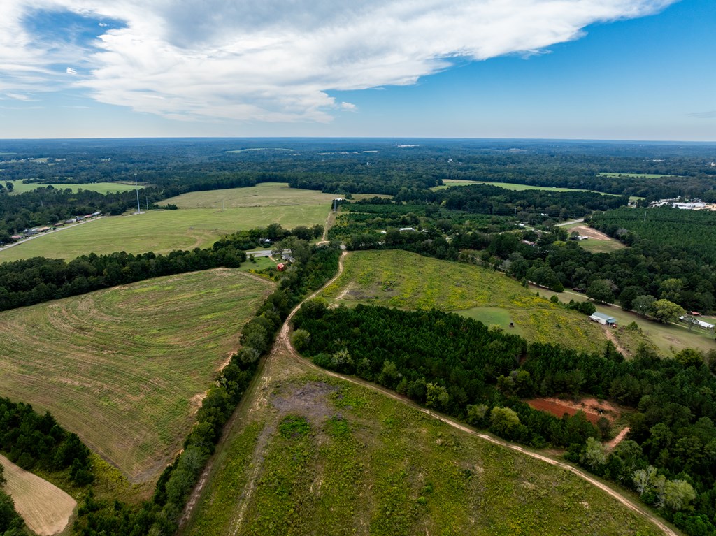 95 (columbia Rd) Road Abbeville, AL 36310 - Photo 22 of 41