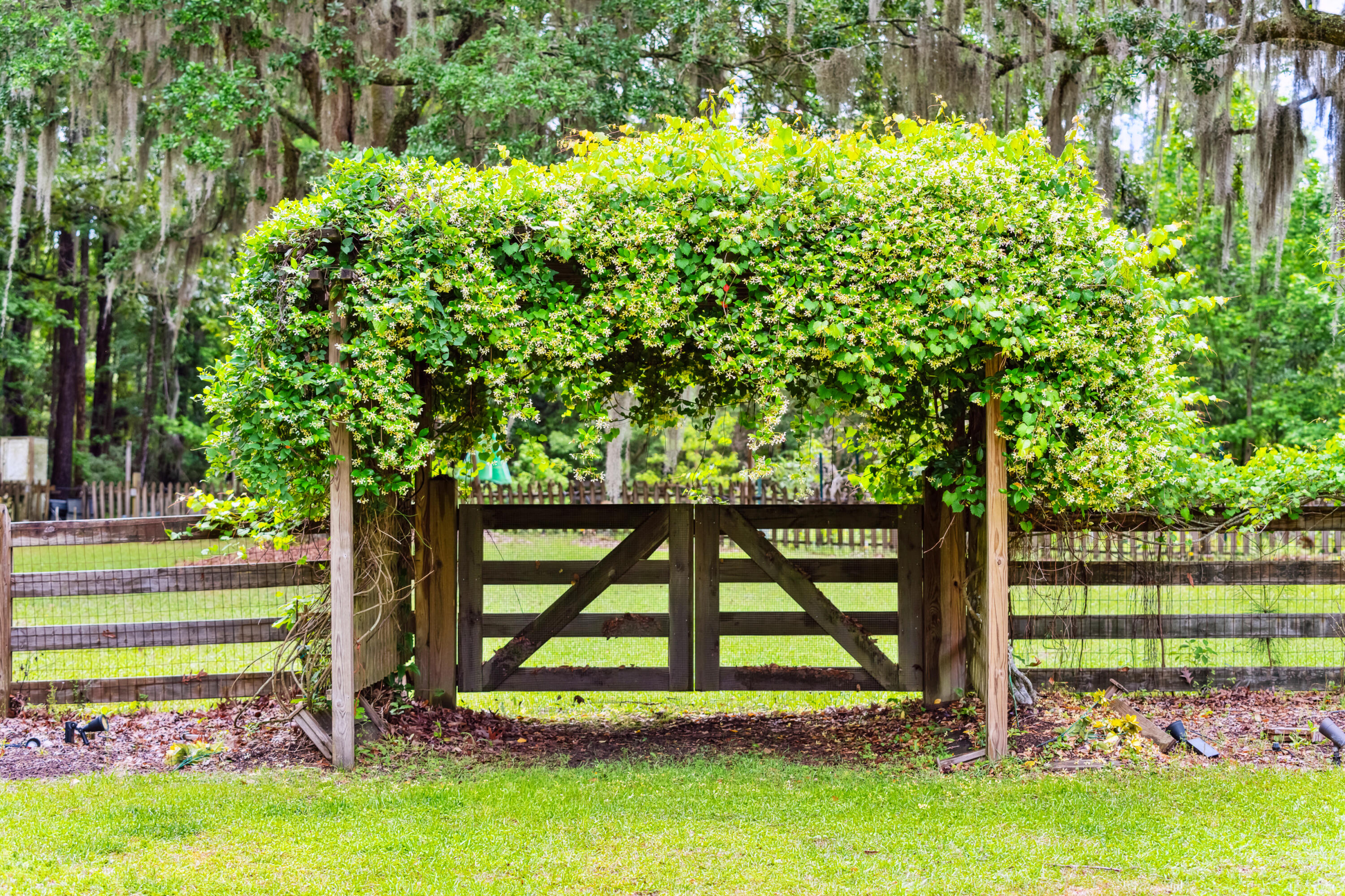 4129 Chisolm Road Johns Island, SC 29455 - Photo 2 of 85 4129ChisolmRd-KeenEyeMarketing-050
