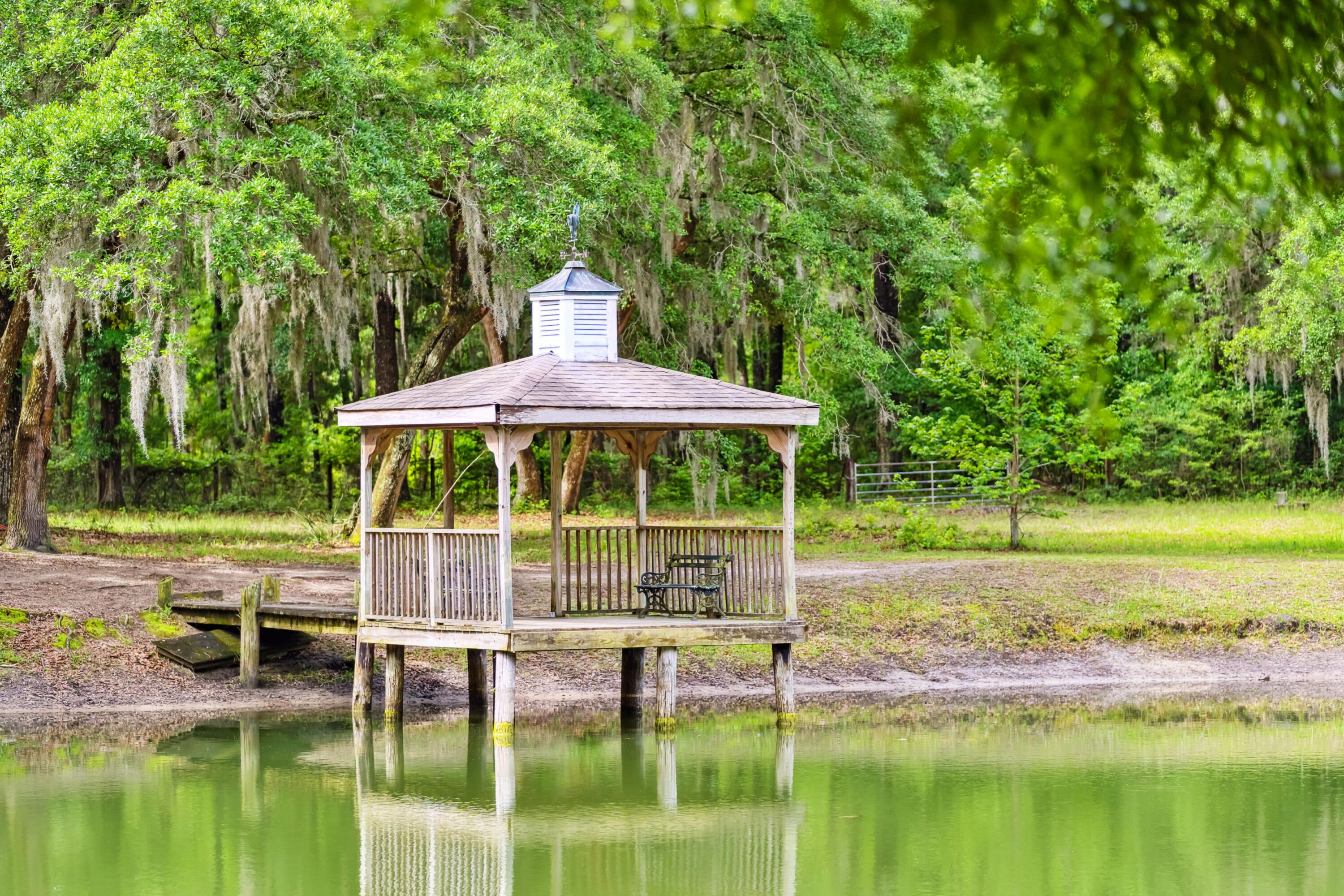 4129 Chisolm Road Johns Island, SC 29455 - Photo 48 of 85 4129ChisolmRd-KeenEyeMarketing-052