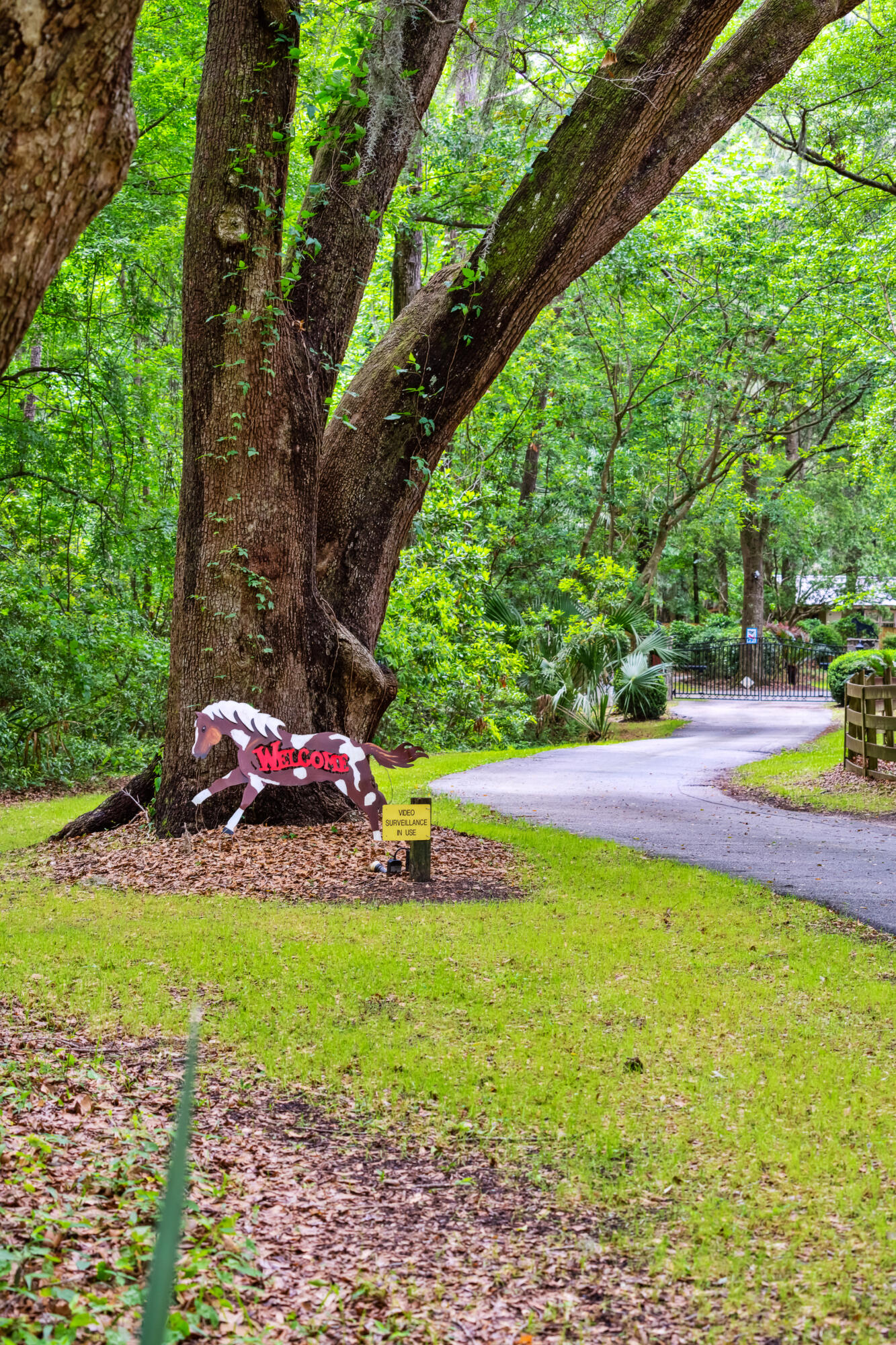 4129 Chisolm Road Johns Island, SC 29455 - Photo 61 of 85 4129ChisolmRd-KeenEyeMarketing-067