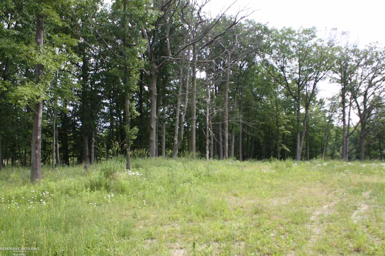 0 36 36 Mile Road Romeo, MI 48065 - Photo 15 of 21