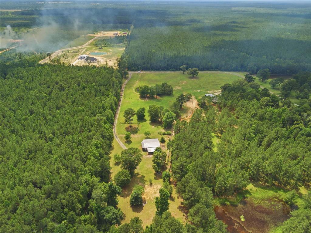 1256 Panhandle Road Dequincy, LA 70633 - Photo 3 of 22