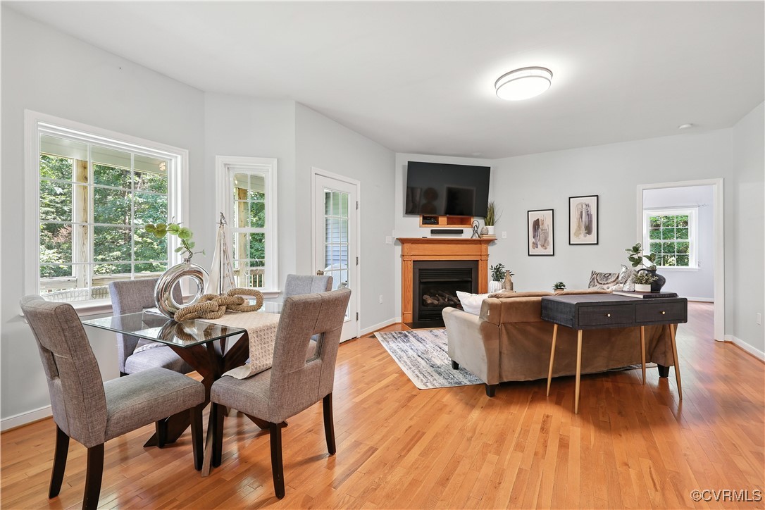 4290 Three Chopt Road Gum Spring, VA 23065 - Photo 16 of 32 a living room with furniture a fireplace and a flat screen tv