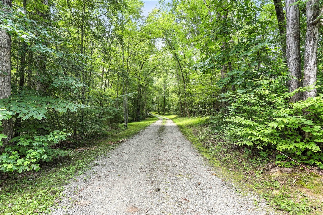 4290 Three Chopt Road Gum Spring, VA 23065 - Photo 9 of 32 a view of a yard with plants and a trees