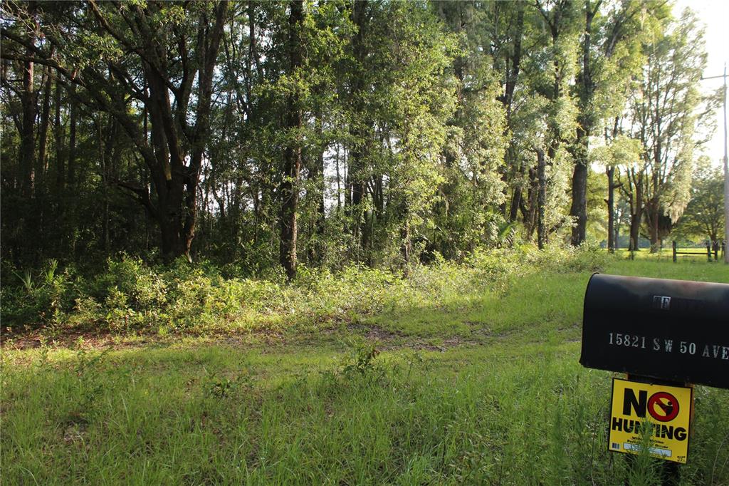 15821 Redbird Road Archer, FL 32618 - Photo 3 of 22
