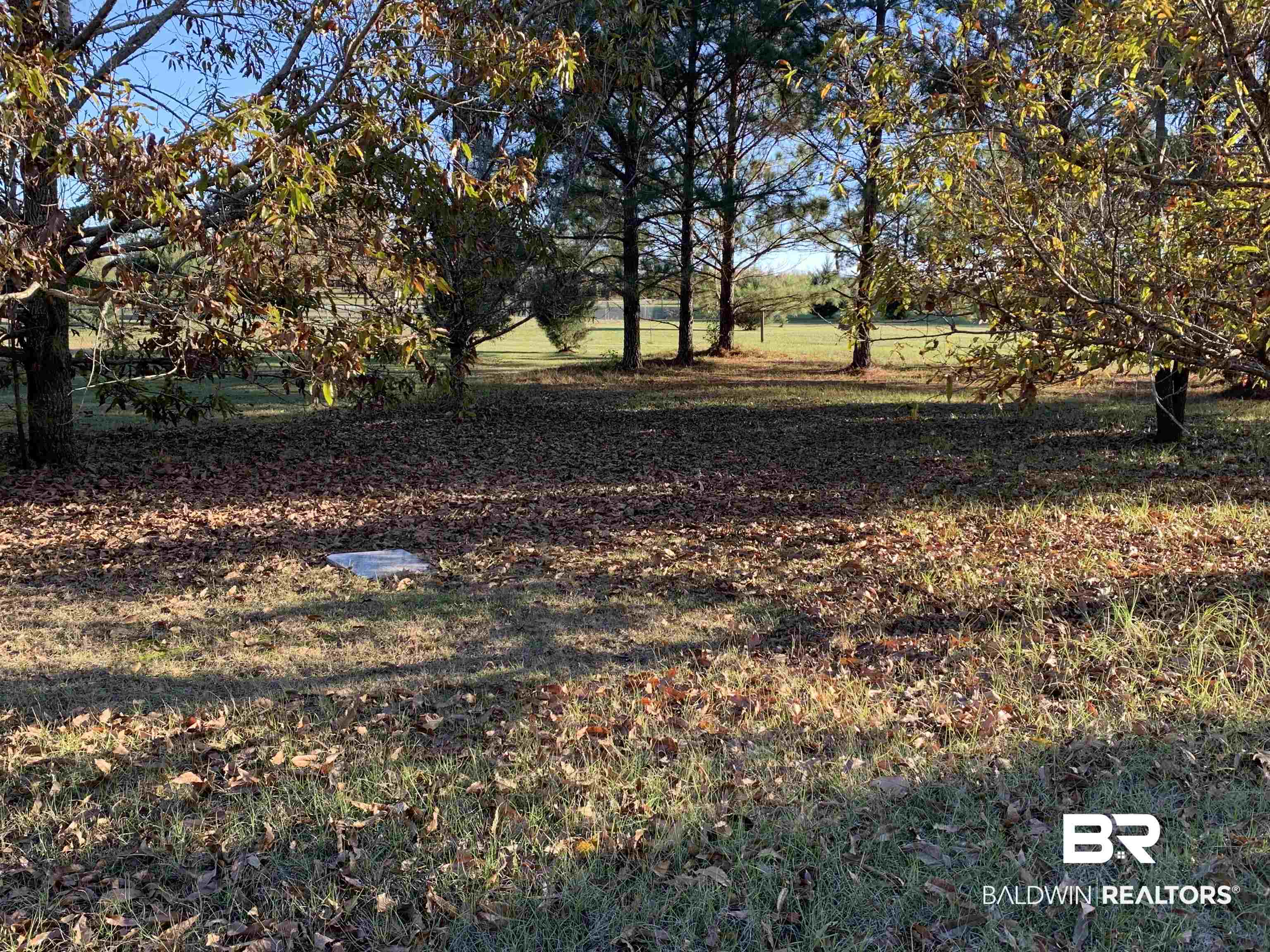 13248 J B Williams Road Loxley, AL 36551 - Photo 11 of 46