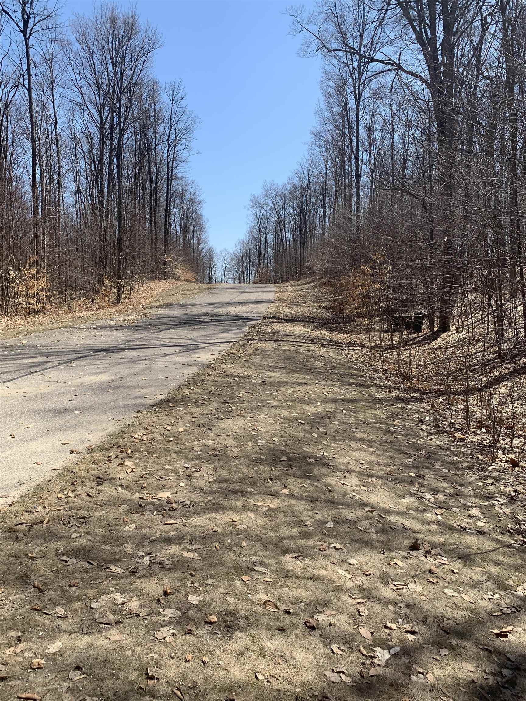 158 Raptor Run Bellaire, MI 49615 - Photo 4 of 6