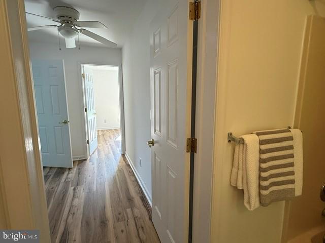 7033 Thorneton Road St. Michaels, MD 21663 - Photo 15 of 33