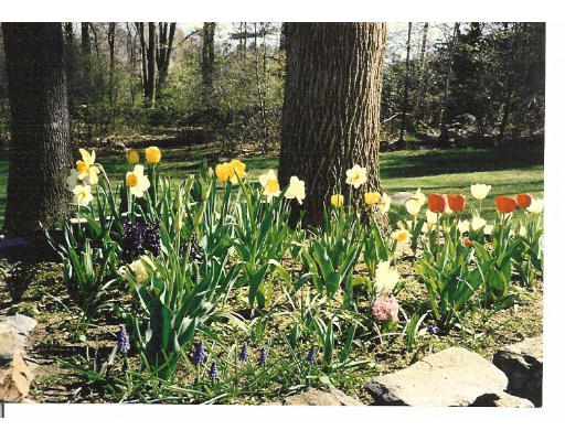 96 Rice Corner Road Brookfield, MA 01506 - Photo 22 of 23 a backyard of a house with lots of green space