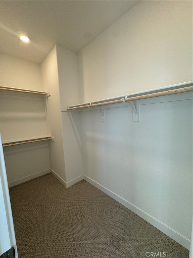 26876 Rugged Ridge Lane Valencia, CA 91381 - Photo 23 of 40 Walk-in closet