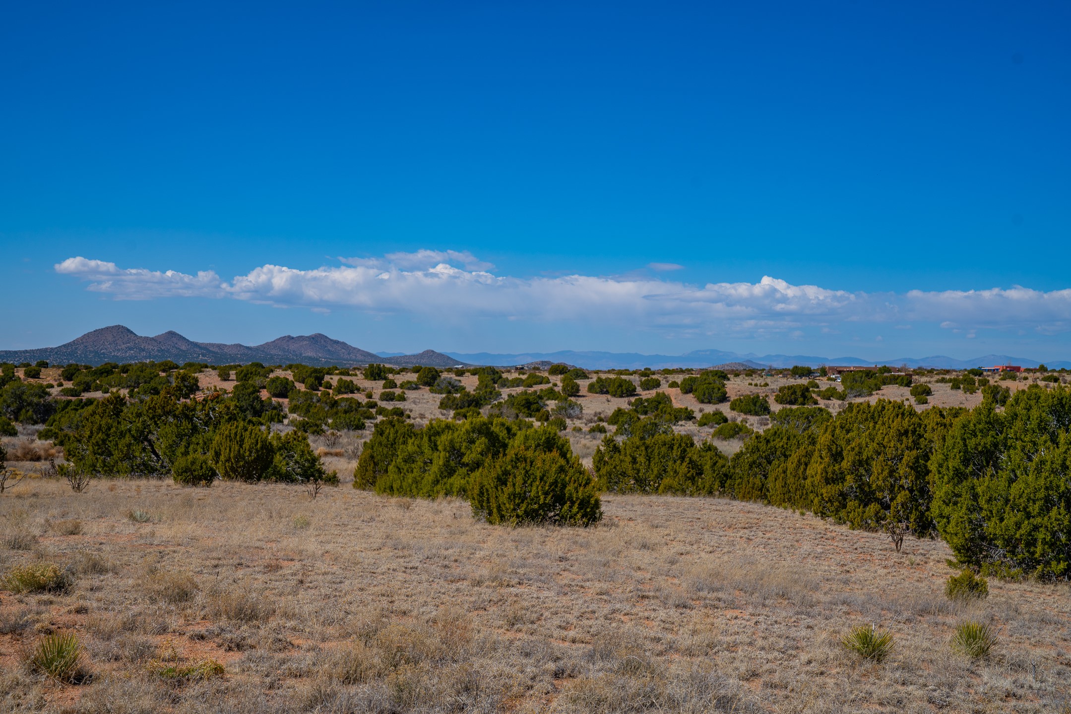 0 Crazy Rabbit Drive Santa Fe, NM 87508 - Photo 9 of 25