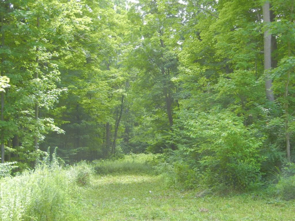 1 Burr Hall Road Middlebury, CT 06762 - Photo 1 of 1