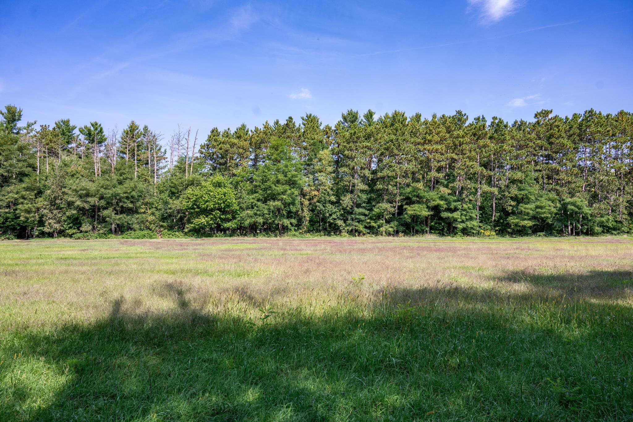 Lot 24 Cemetery Mauston, WI 53948 - Photo 6 of 17