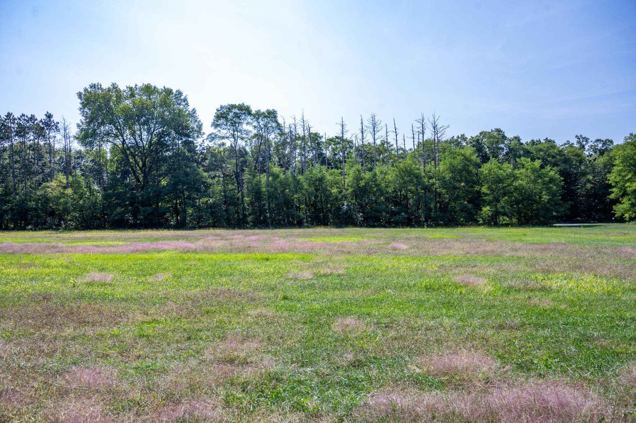 Lot 24 Cemetery Mauston, WI 53948 - Photo 10 of 17