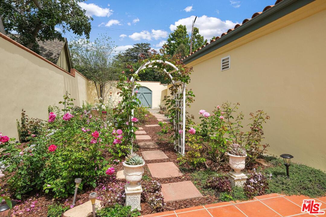 323 9th Street Santa Monica, CA 90402 - Photo 15 of 16 a flower plants sitting in front of a house