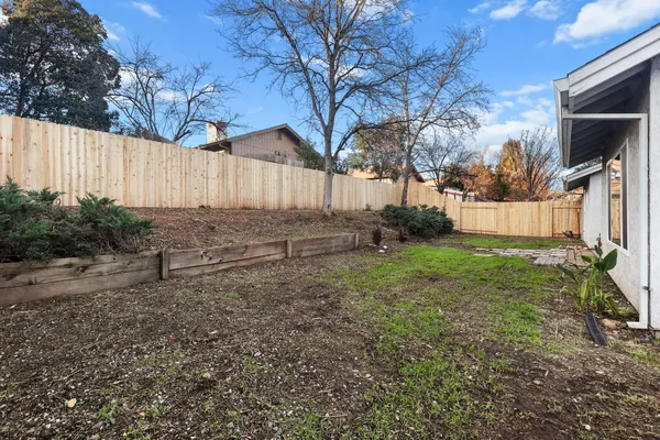 a view of backyard and tree