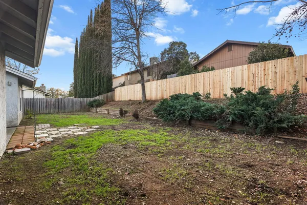 a view of backyard with tree